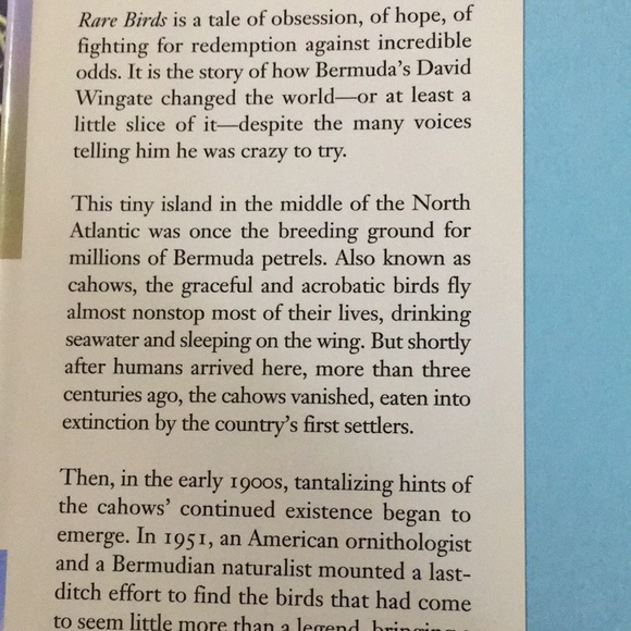 BOOK: Rare Birds:The Extraordinary Tale of the Bermuda Petrel, Elizabeth Gehrman - Picture 3 of 6